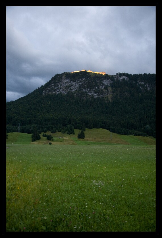 IMG_6528 5D